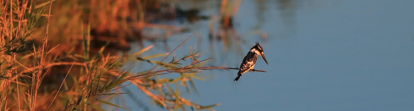 Panorama Botsuana, Chobe