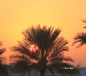 Impressionen aus dem Oman in Sur ©HorstReitz