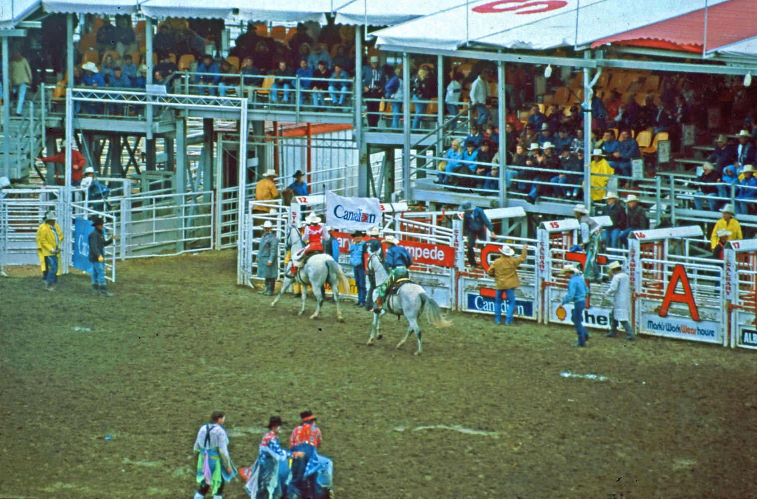 Stampede Calgary Größtes Rodeo in Nordamerika ©HorstReitz1992