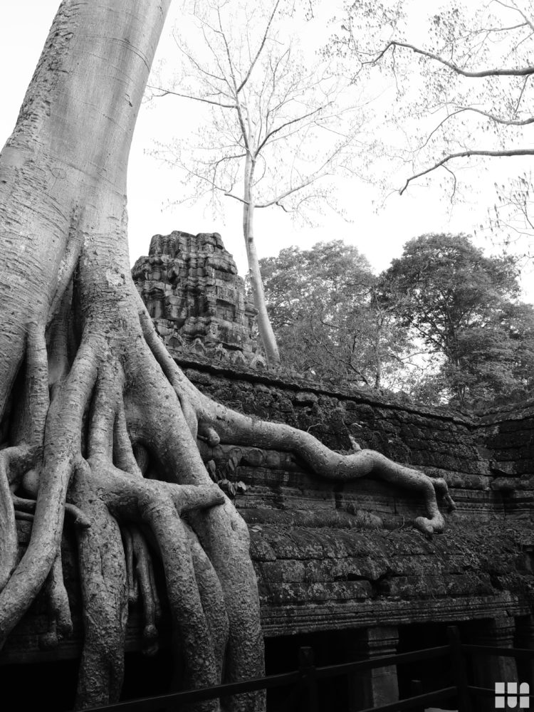 Ta Prohm ©Touristikerfotos.net