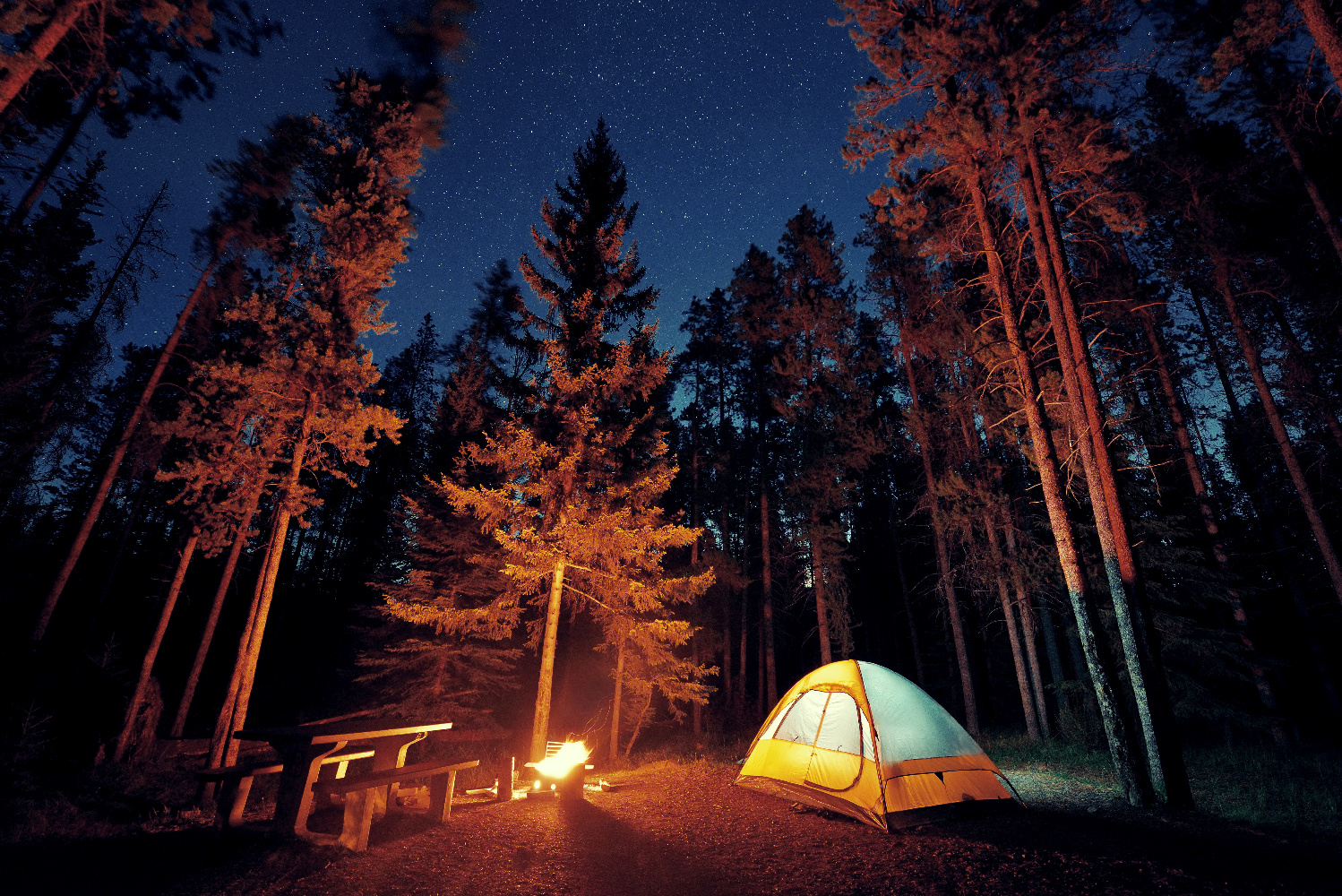 Alberta Camping unter Sternen mit Lagerfeuer ©123RF