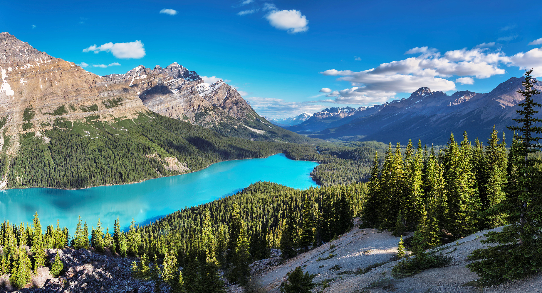 Alberta Peyto Lake Rocky Mountains, Banff NP ©123RF