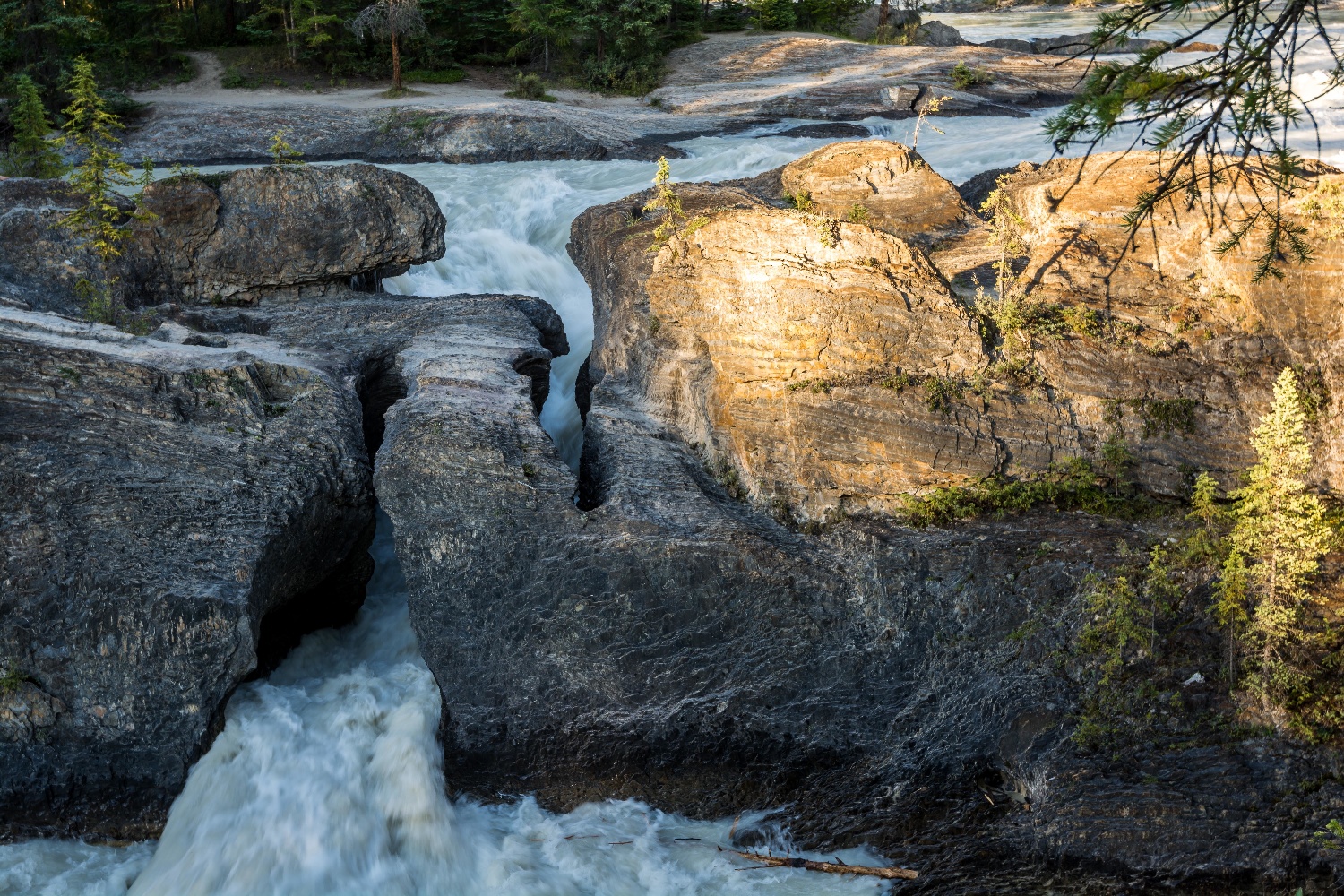 Kanda B.C. Yoho NP Natürliche Brücke ©123RF