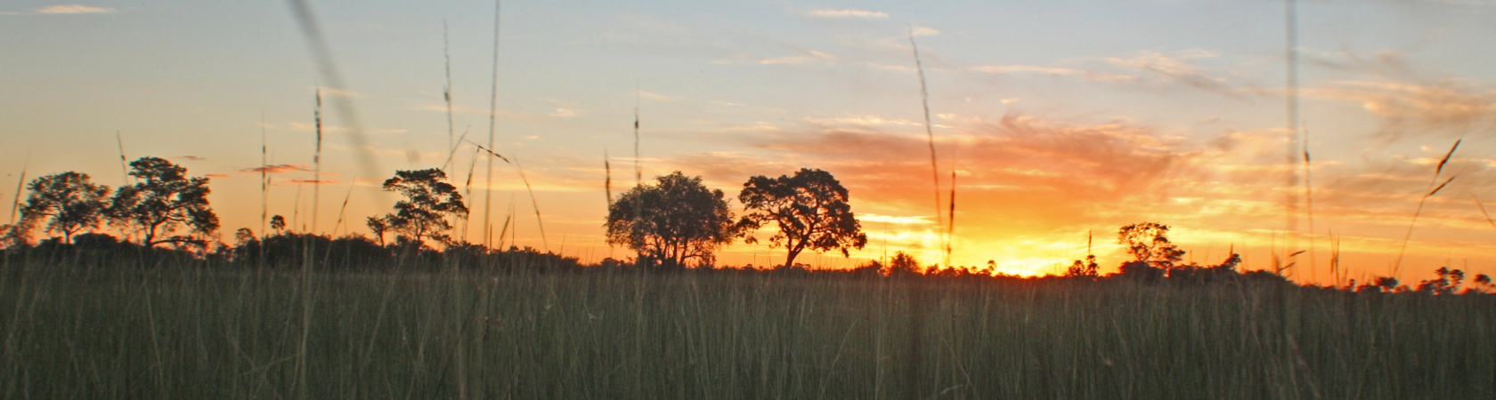 Botsuana, Okawangodelta