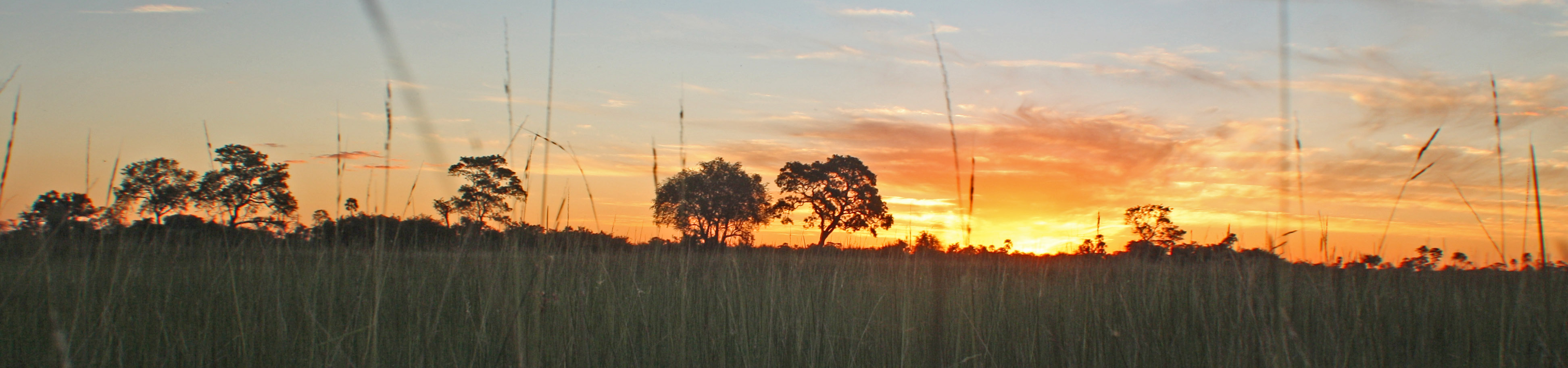 Botsuana, Okawangodelta